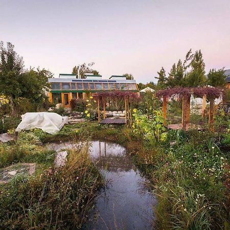 Earthship Patagonia Eco Accommodations El Bolsón Екстериор снимка